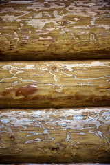 Wooden texture