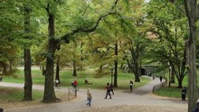 Slow Motion Wide Panning Shot Of People Walking In Central Park / New York City, New York, United States