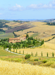 Wall Mural - Crete Senesi (Tuscany, Italy)