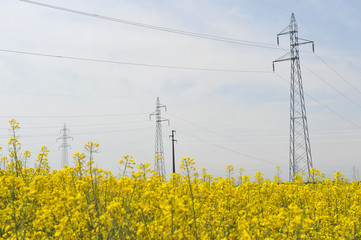 electric power line