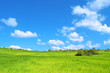 © oraziopuccio - Bella prateria verde con cielo azzurro e nuvole - pianeta verde