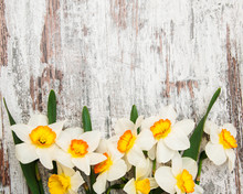 Daffodils On A Wooden Background