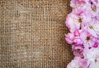 Sticker - Sakura blossom on a burlap background