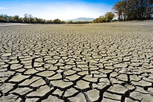 Cuadros en Lienzo Dry cracked earth - dried-up bottom of a pond