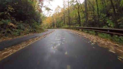 Wall Mural - Fall leaves flurry behind a car on the Blue Ridge Parkway