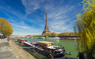 Fototapete - Tour Eiffel