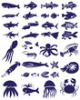 fish and marine reptiles icons on white