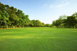 canvas print picture - beautiful morning light in public park with green grass field an