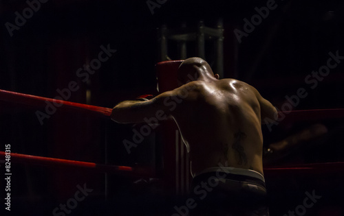 Fotografie, Tablou  fight