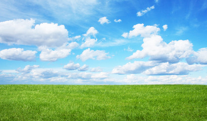 green field and blue sky