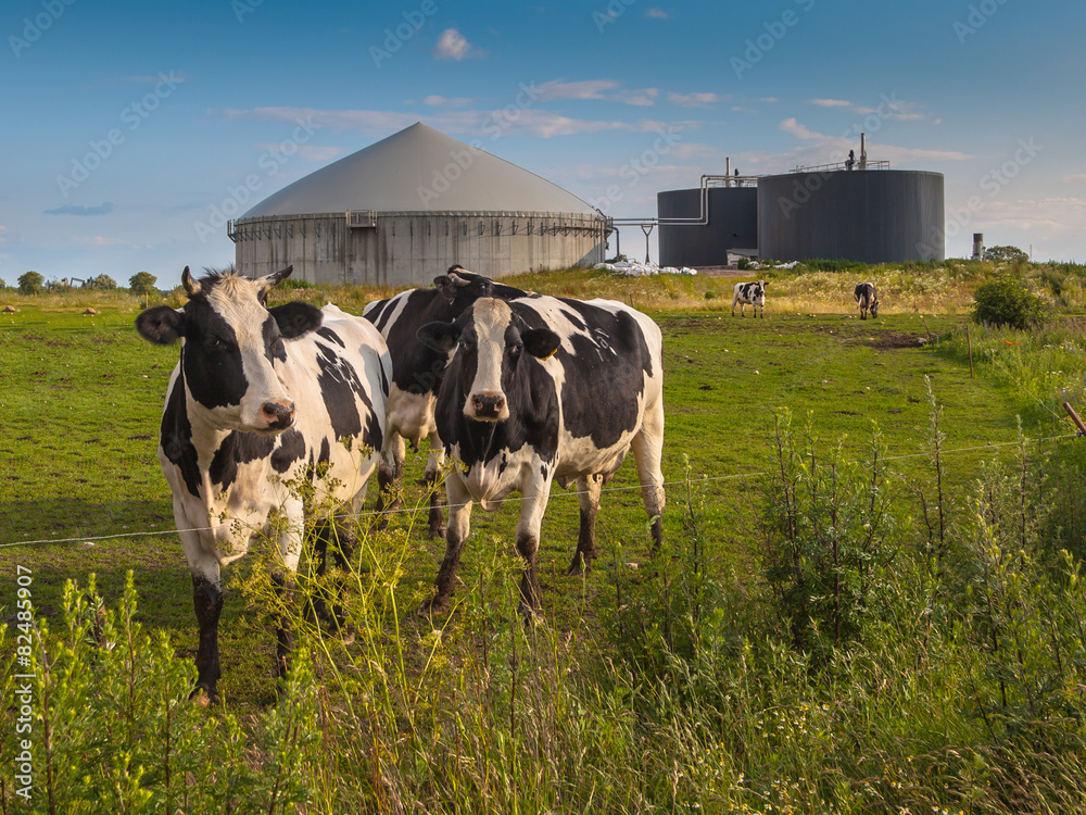 Biogas plant on a farm - obrazy, fototapety, plakaty 