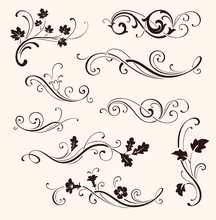 Set Of Calligraphic Floral Elements