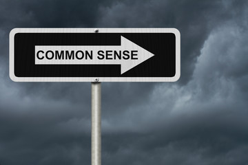 Poster - The way to Common Sense