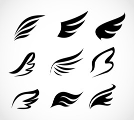 Wall Mural - Wing icon set vector