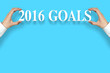 © christianchan - 2016 Goals