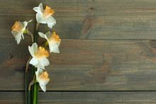 Fresh Daffodils On A Wooden Background