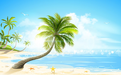 Tropical beach. Vector