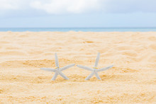 Two Wedding Rings With Two Starfish On A Sandy Tropical Beach. W
