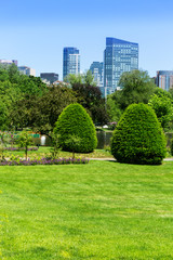 Fototapete - Boston Common park gardens and skyline