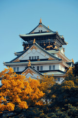 Fototapete - Osaka Castle