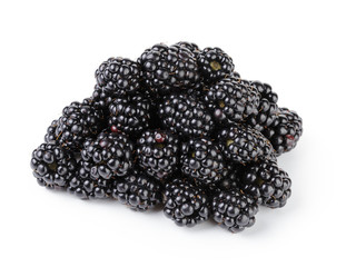 Wall Mural - heap of fresh blackberry isolated on white