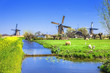 traditional Holland countryside