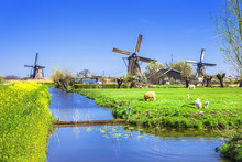 Traditional Holland Countryside