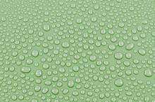 Green Water Drops Background Or Texture. Close-up