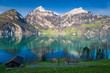 Apples: Swiss panorama with lake