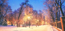 Mariinsky Garden During Inclement Weather