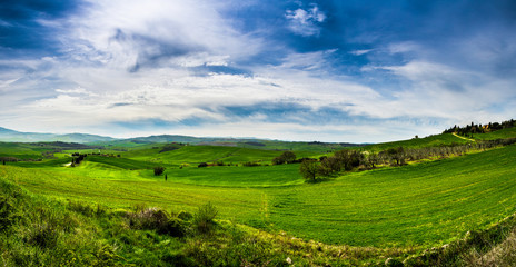 Wall Mural - Panorama di toscana val d'orcia e umbria con colline