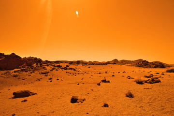deserted terrestrial planet