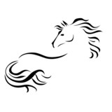 Fototapeta Konie - vector drawing horse