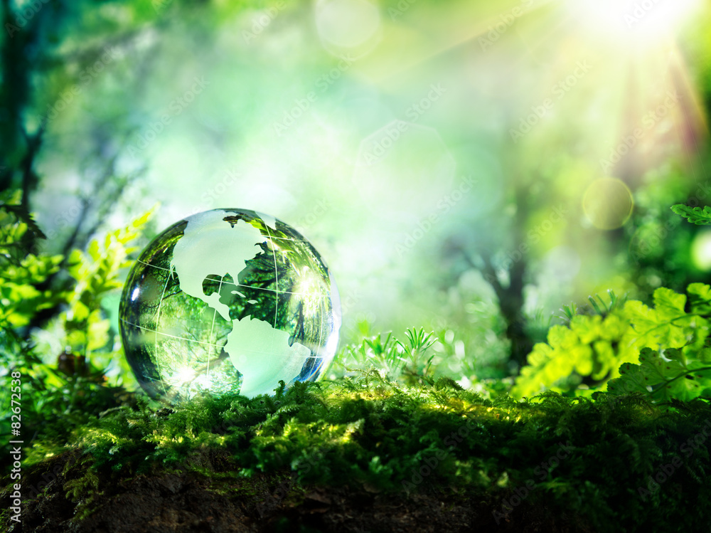 crystal globe on moss in a forest - environment concept
 - obrazy, fototapety, plakaty 
