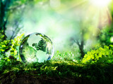 Fototapeta Las - crystal globe on moss in a forest - environment concept

