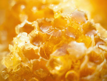 Honey In The Honeycomb Background