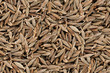 Cumin Seeds Seamless Texture