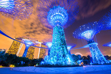 Gardens By The Bay - SuperTree Grove In Singapore