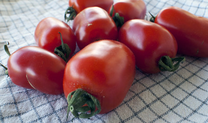 several tomatoes on a tea towel freshly picked from the garden