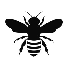 Black Bee Silhouette Isolated On White Background - Illustration