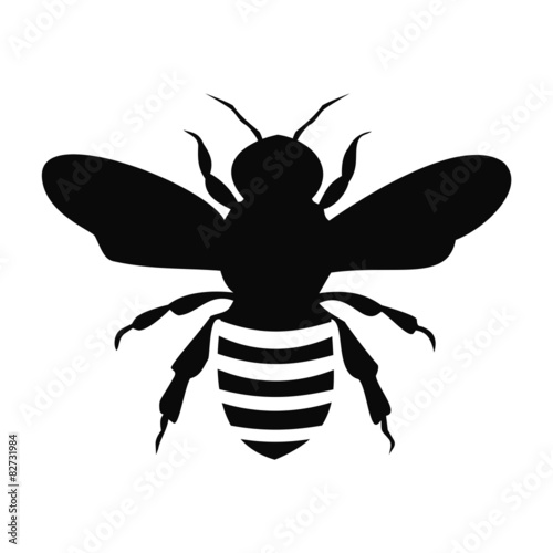 Fotografía Black Bee Silhouette isolated on white background - illustration