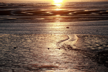 Ebbe bei Sonnenuntergang