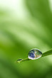 leaf with rain droplets - Recovery earth concept