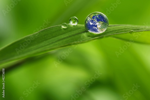Plakat leaf with rain droplets - Recovery concept earth
