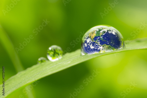 Plakat leaf with rain droplets - Recovery concept earth