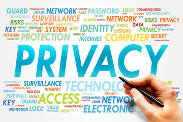 Poster - PRIVACY word cloud, business concept
