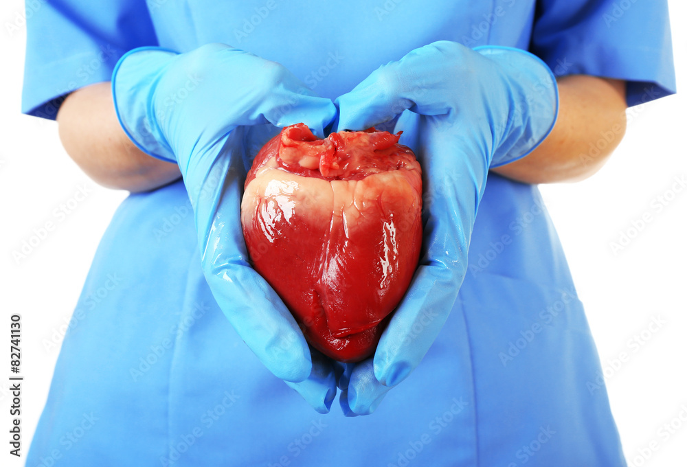 Heart in doctor hands, closeup
