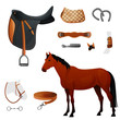Set of equestrian equipment for horse.