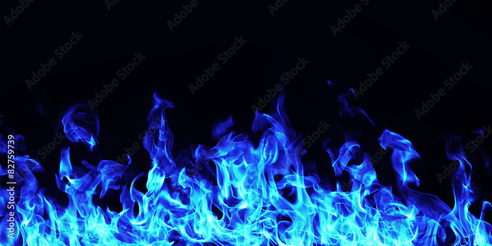 burning fire flame on black background - obrazy, fototapety, plakaty 