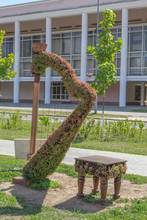 Green Topiary Statue Of A Harp